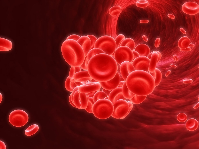 PITPNC1, o proteină care răspândește cancerul