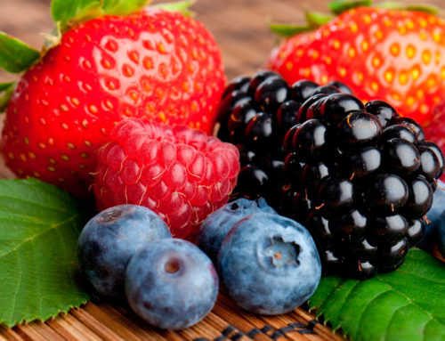 Puterea fructelor de pădure